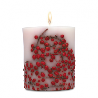 Acqua di Parma Red Berries Candle