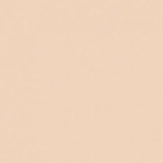 Sisley Phyto-poudre Compacte 1