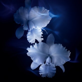 Guerlain Orchidée Impériale The Rich cream