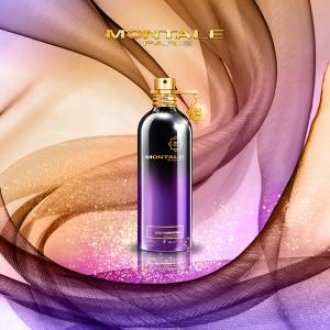 Montale Oud Pashmina