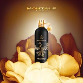 Montale Oudrising