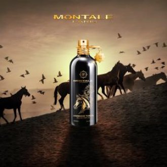 Montale Arabians Tonka