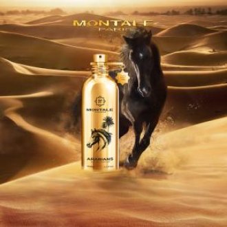 Montale Arabians