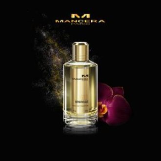 Mancera Intensitive Aouds Gold Eau de parfum 120ml