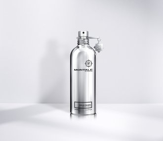 Montale Wild Pears Eau de parfum 100ml