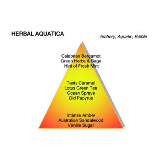 Montale Herbal Aquatica