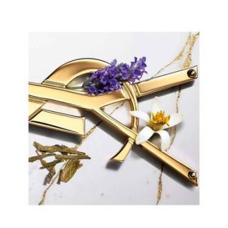Yves Saint Laurent Libre Eau de Toilette