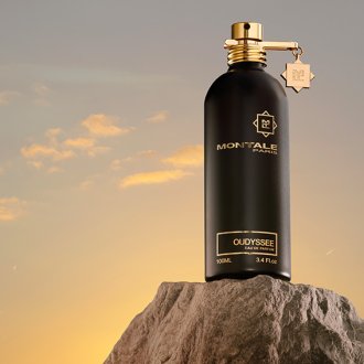 Montale Oudyssee Eau de parfum 100ml