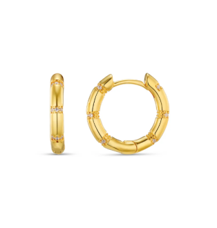 Orelia Crystal Set Hoop Earring